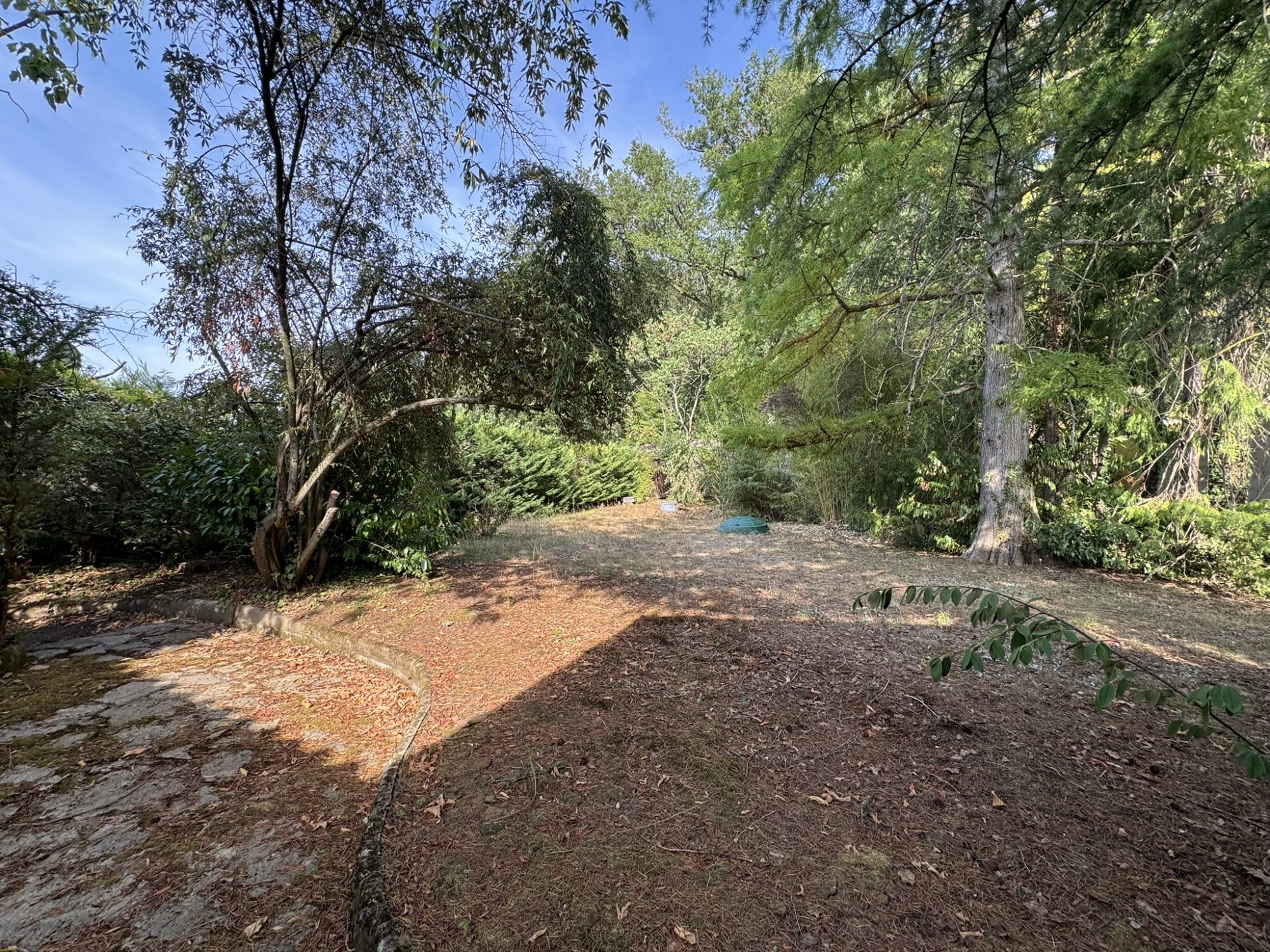 VENTE - Maison - L'Étrat (42580) - 239000 €