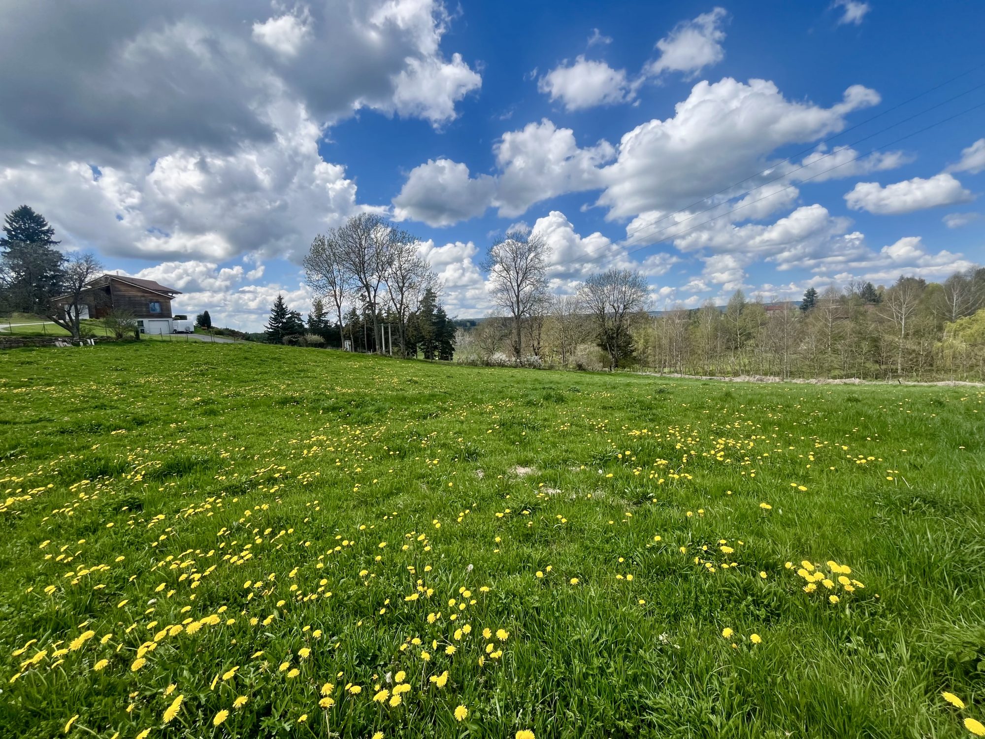 VENTE - Terrain - Usson-en-Forez (42550) - 29000 €