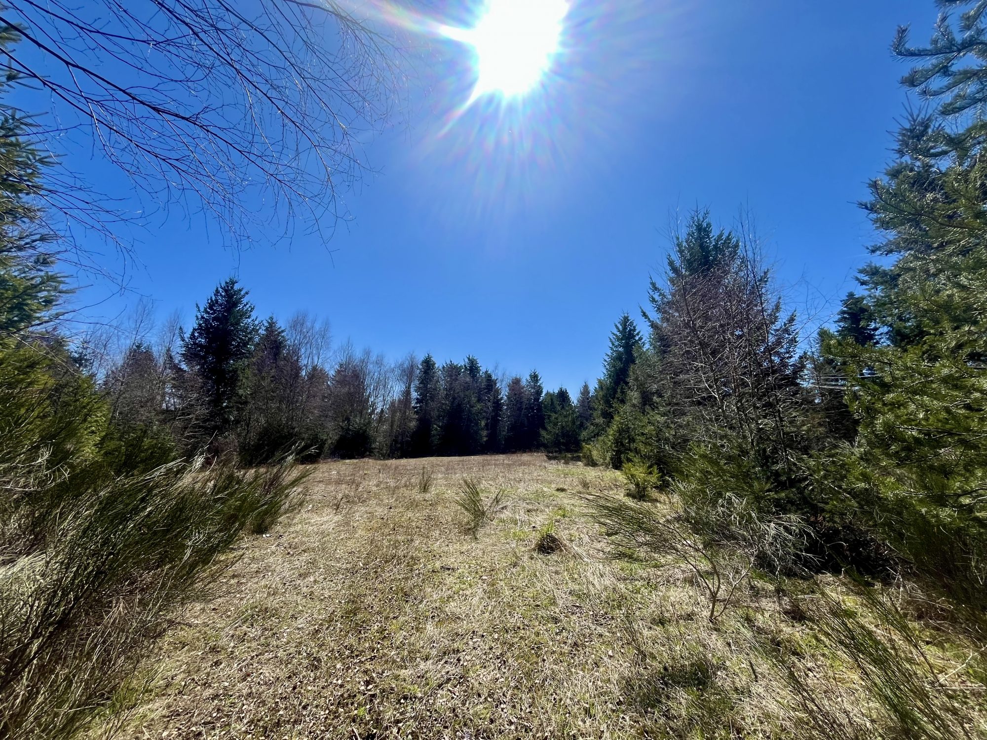 VENTE - Terrain - Usson-en-Forez (42550) - 150000 €