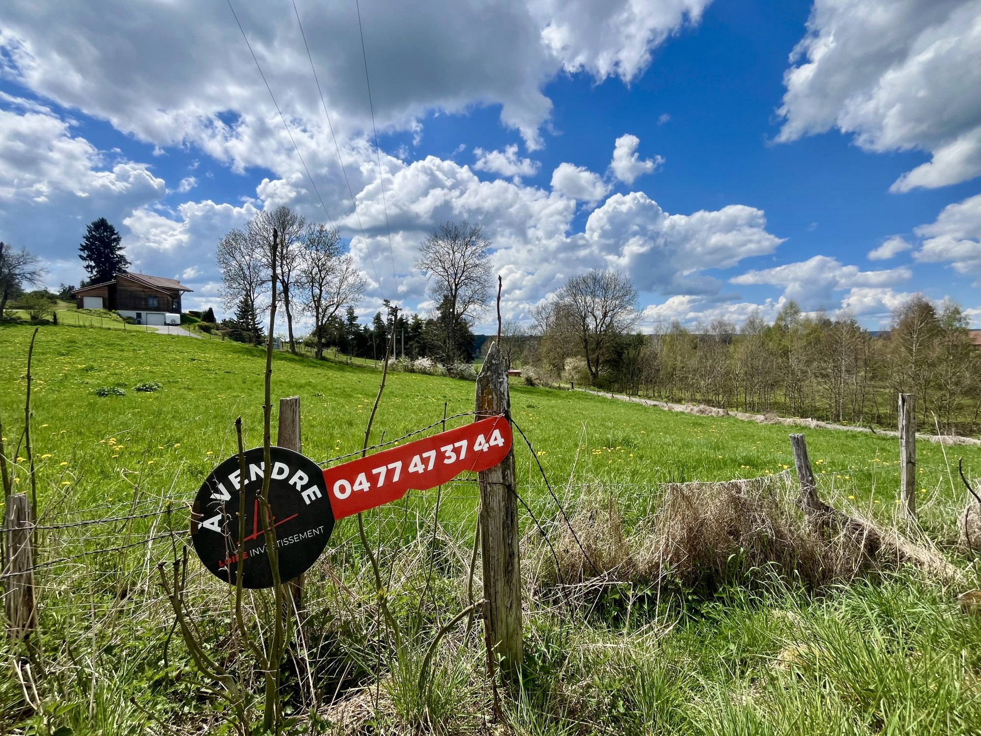 VENTE - Terrain - Usson-en-Forez (42550) - 29000 €