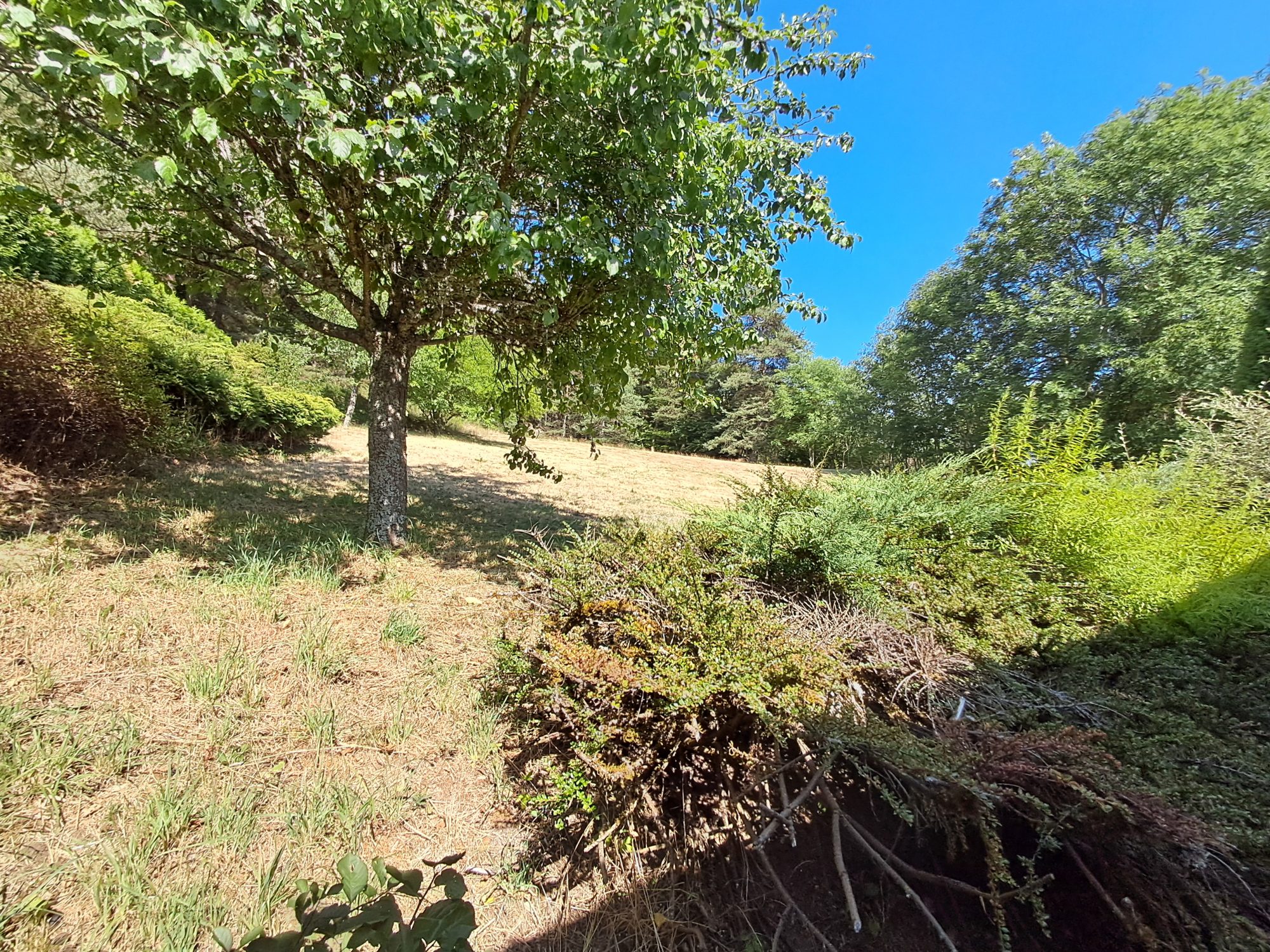 VENTE - Maison - Usson-en-Forez (42550) - 313500 €