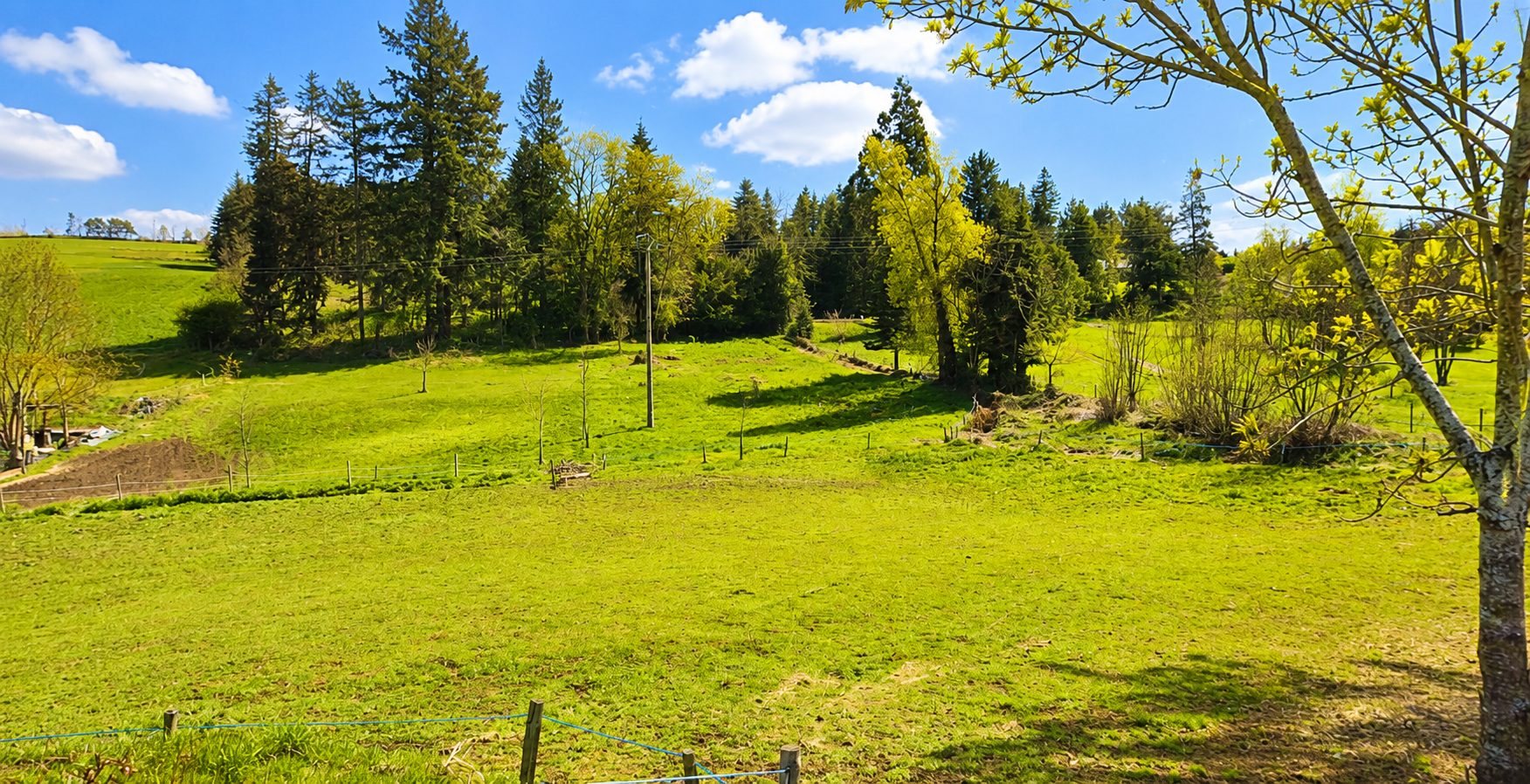 VENTE - Terrain - Beaux (43200) - 54000 €