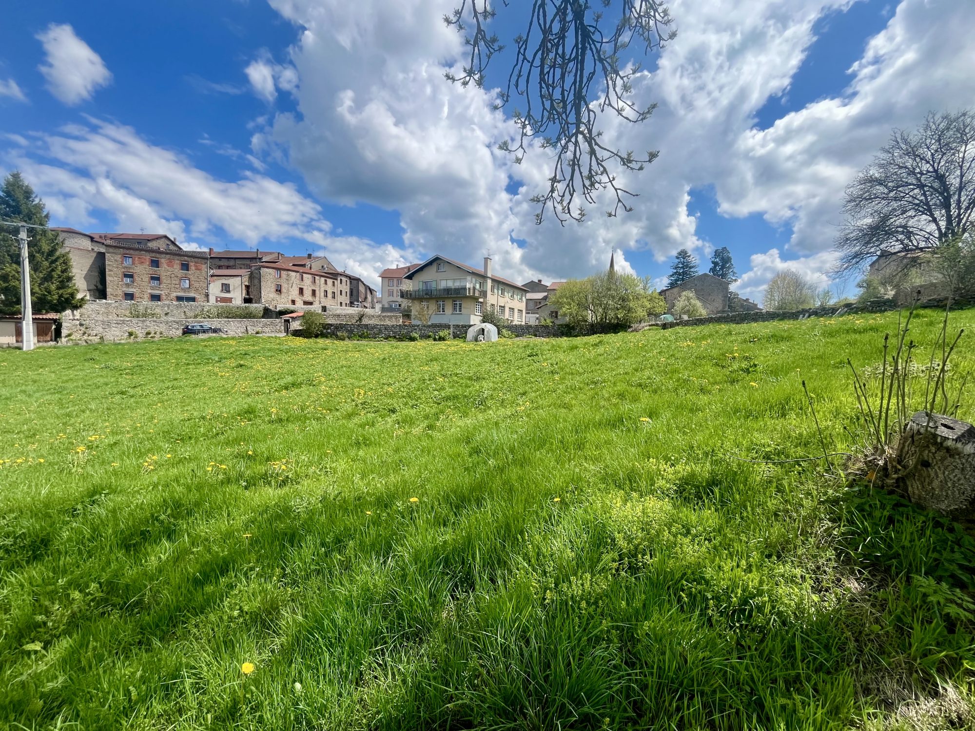 VENTE - Terrain - Usson-en-Forez (42550) - 29000 €