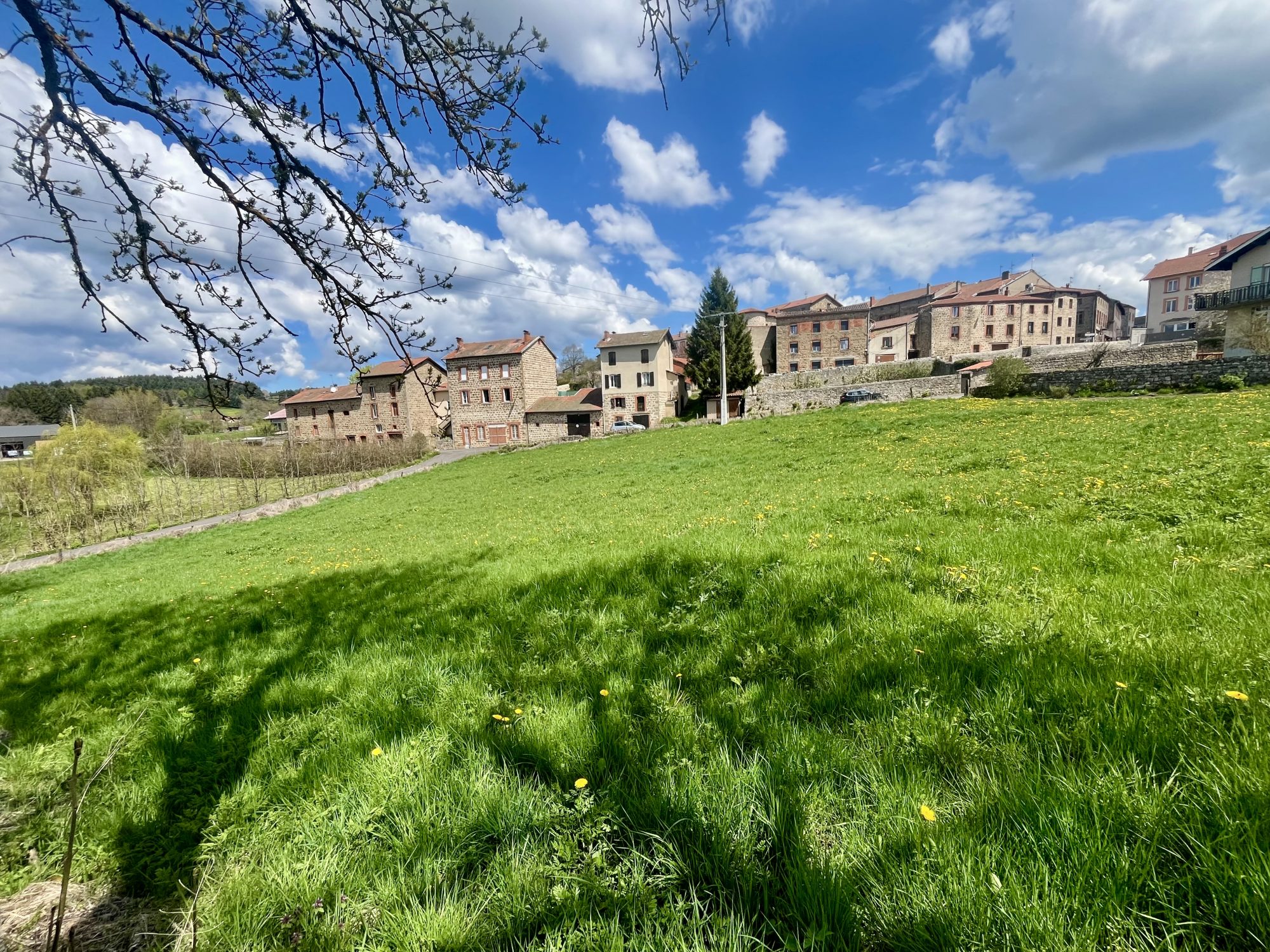 VENTE - Terrain - Usson-en-Forez (42550) - 29000 €