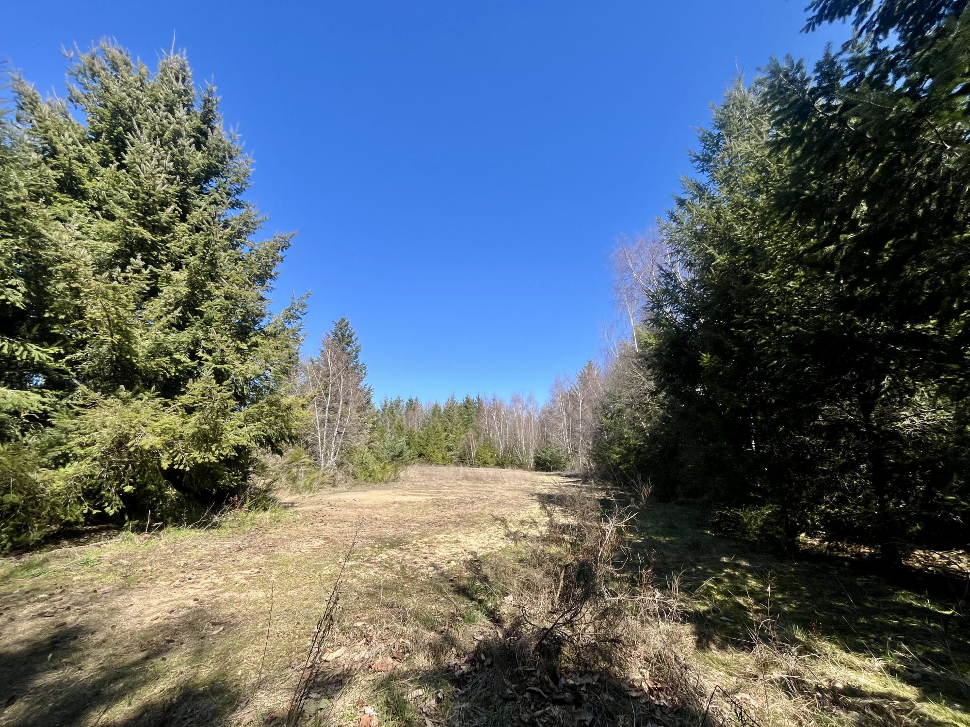 VENTE - Terrain - Usson-en-Forez (42550) - 150000 €