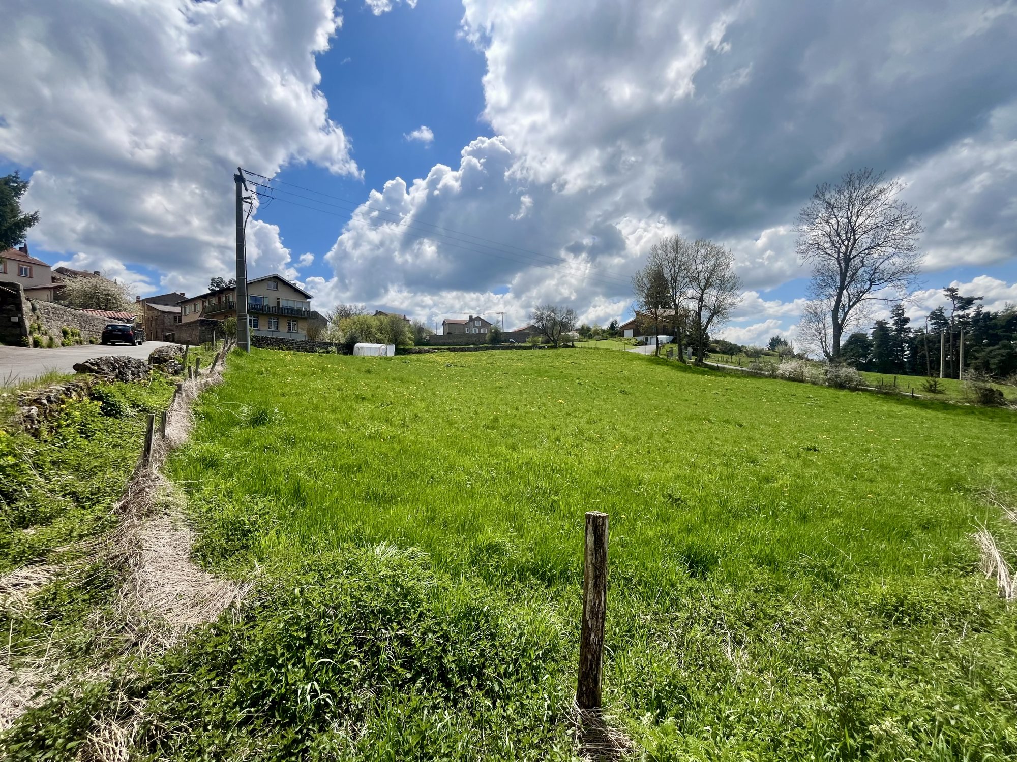 VENTE - Terrain - Usson-en-Forez (42550) - 29000 €