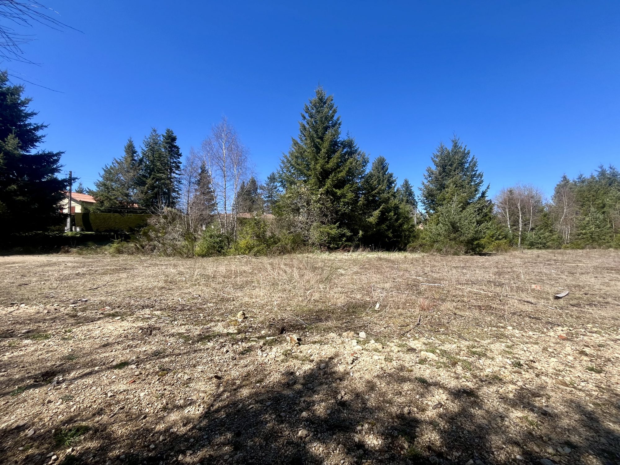 VENTE - Terrain - Usson-en-Forez (42550) - 150000 €