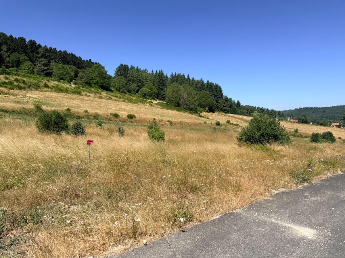 VENTE - Terrain - Dunieres (43220) - 41000 €