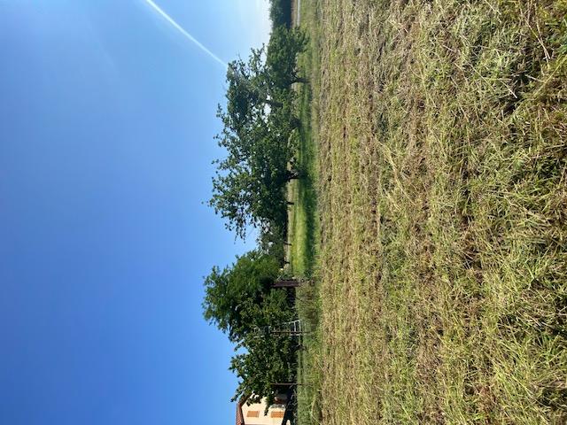 VENTE - Terrain - CHAMPDIEU (42600) - 79000 €