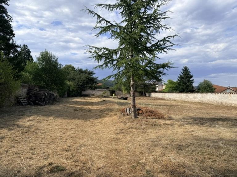 VENTE - Terrain - BAS EN BASSET (43210) - 73000 €