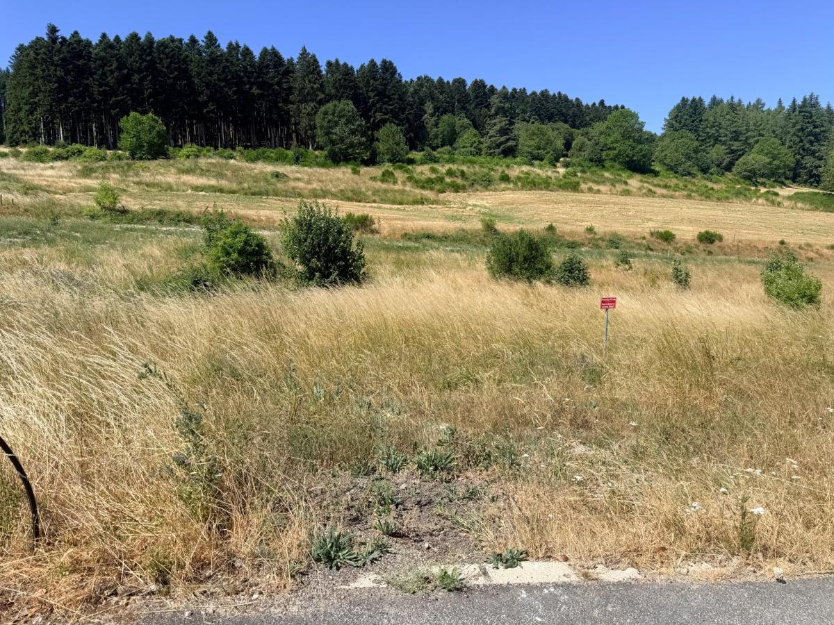 VENTE - Terrain - Dunieres (43220) - 41000 €