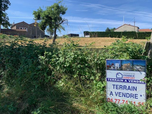 VENTE - Terrain - MONISTROL SUR LOIRE (43120) - 84500 €
