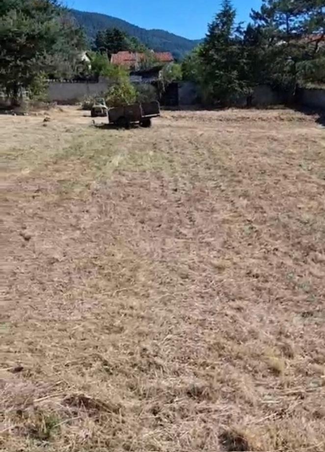 VENTE - Terrain - BAS EN BASSET (43210) - 73000 €