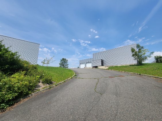 LOCATION - Local - ST SYMPHORIEN SUR COISE (69590) - 6000 €