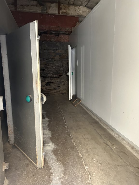 LOCATION - Local - CHAZELLES SUR LYON (42140) - 650 €