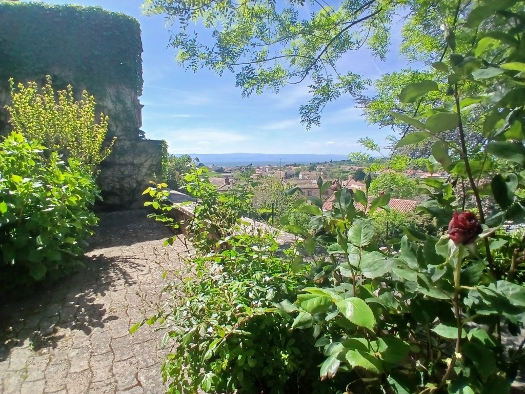 VENTE - Maison/villa - ROZIER EN DONZY (42810) - 185000 €